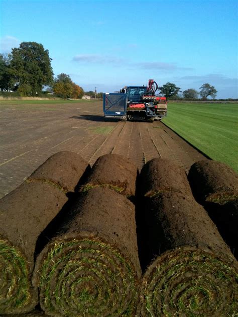 turf suppliers stockport area